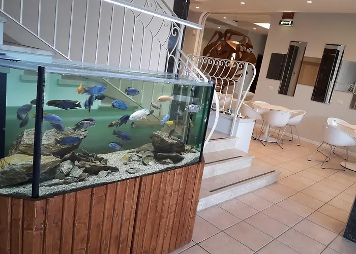 Igea Spiaggia Home Holiday Hotel